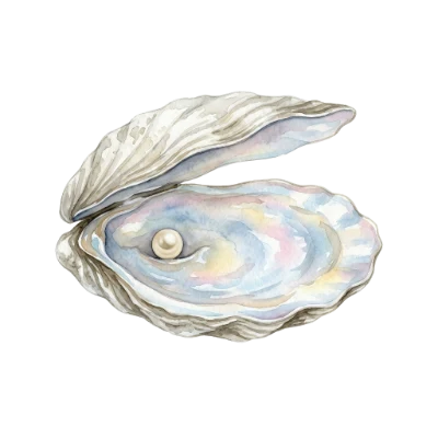 Watercolor Oyster With Pearl