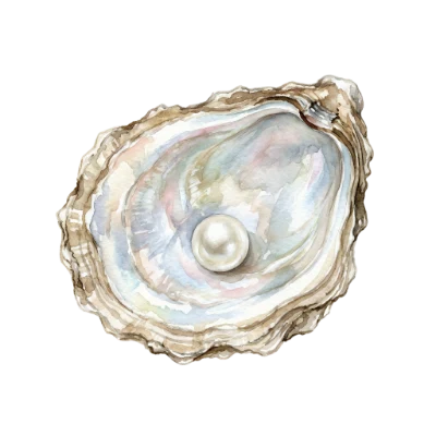 Watercolor Oyster With Pearl