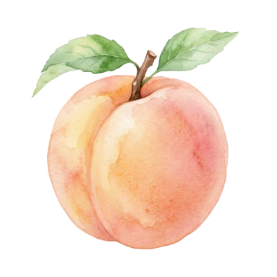 Fresh Ripe Peach Fruit with Green Leaves Watercolor