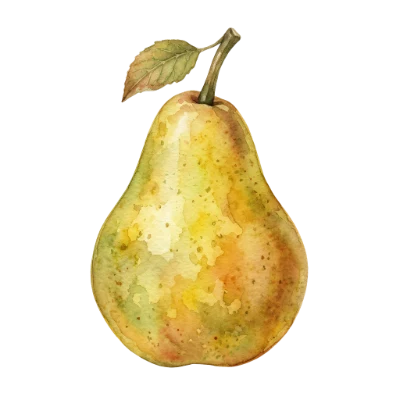 Watercolor Pear Fruit