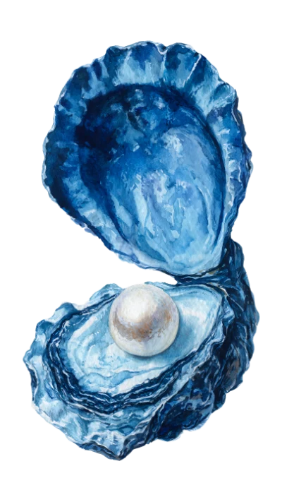 Watercolor Pearl Oyster Shell