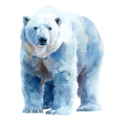 Watercolor Polar Bear