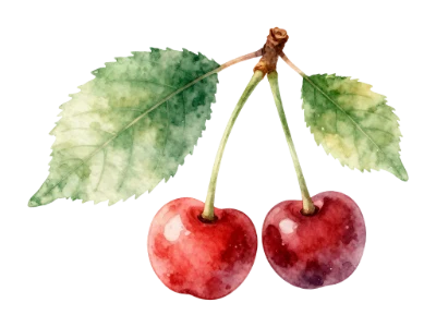 Watercolor Red Cherries