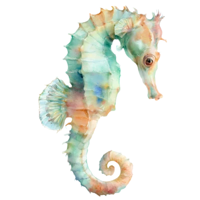 Watercolor Seahorse Marine Life