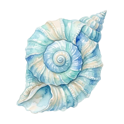 Watercolor Seashell Illustration