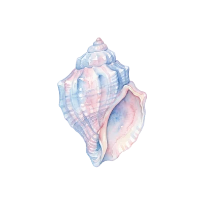 Watercolor Seashell Marine Life