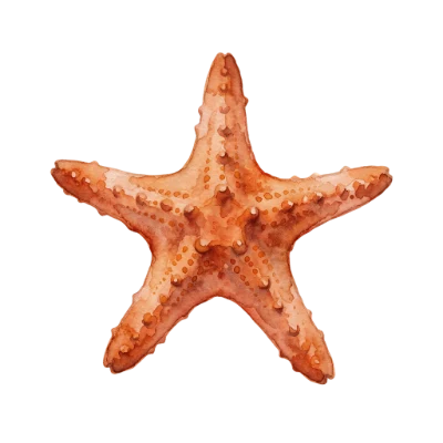 Watercolor Starfish Sea Creature
