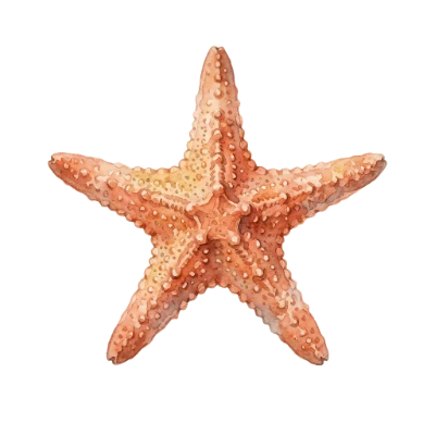 Watercolor Starfish Sea Creature