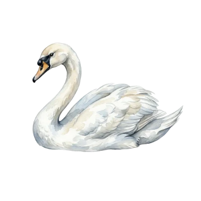 Watercolor Swan Bird