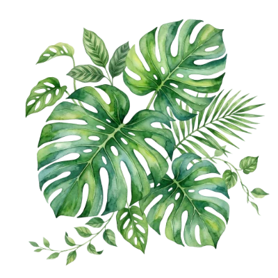 Watercolor Tropical Monstera Leaves