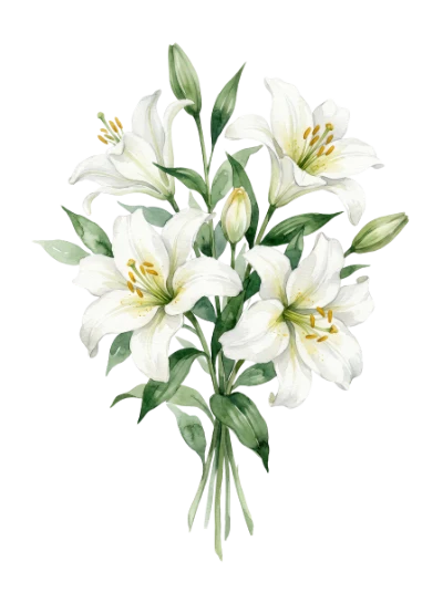 Watercolor White Lily Bouquet