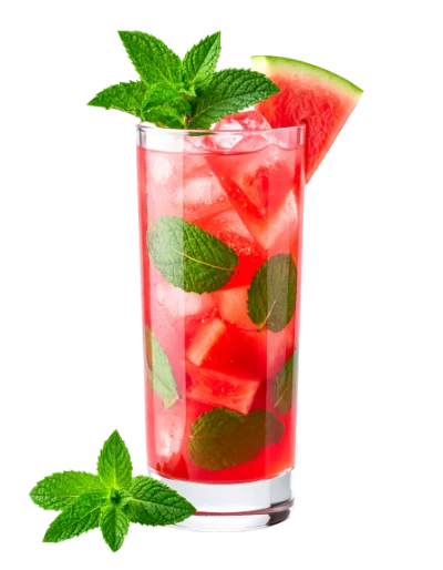 Watermelon Mint Cocktail