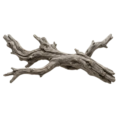 Weathered Driftwood Branch