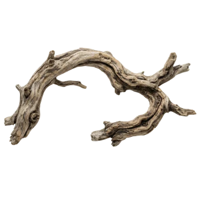 Weathered Driftwood Branch