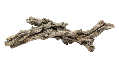 Weathered Driftwood Branch