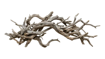 Weathered Driftwood Branch Piece