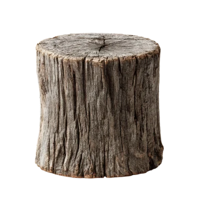 Weathered Tree Stump