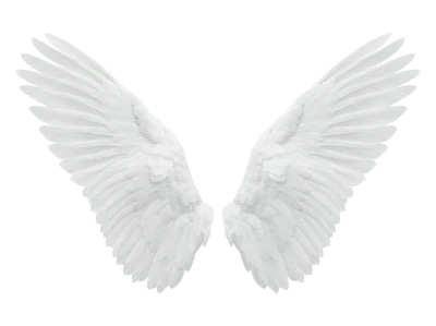 White Angel Wings