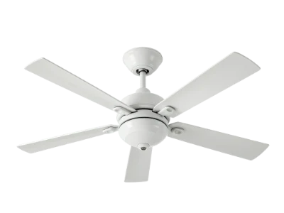 White Ceiling Fan