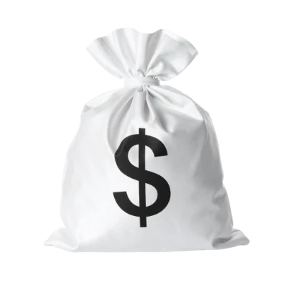 White Money Bag