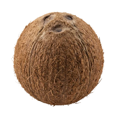 Whole Brown Coconut