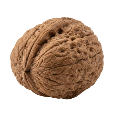 Whole Brown Walnut