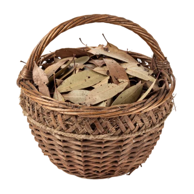 Wicker Basket With Leaves
