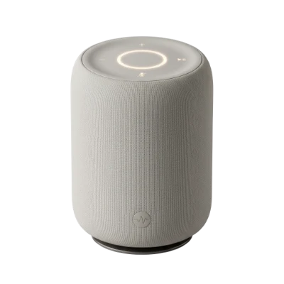 Wireless Smart Speaker