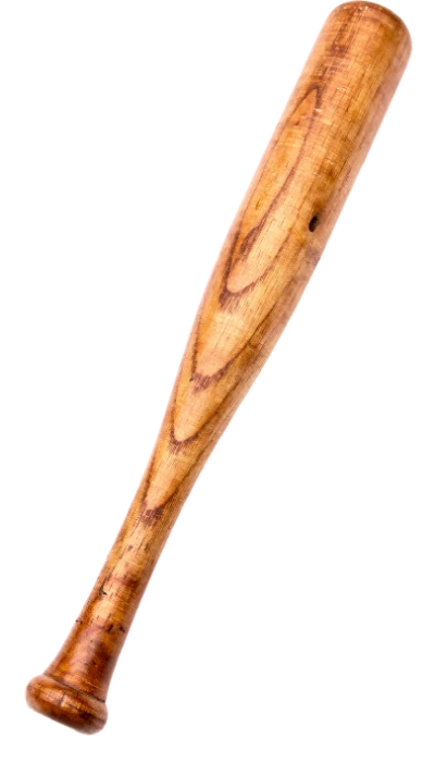 Wooden Baseball Bat