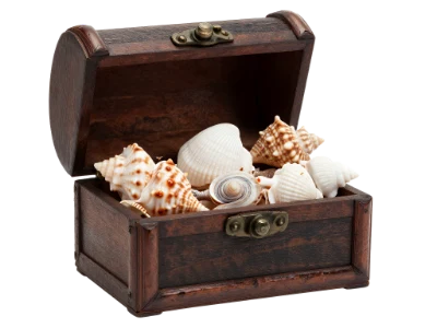 Wooden Treasure Chest