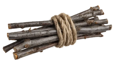 Bundle Of Wooden Twigs