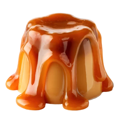Caramel Pudding Dessert