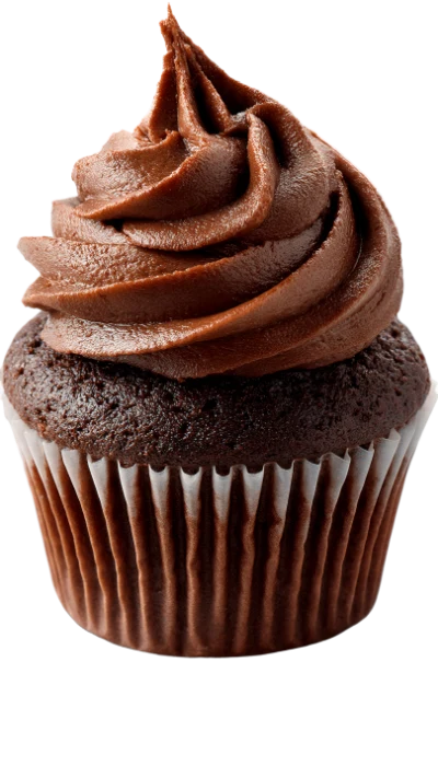 Chocolate Frosted Cupcake