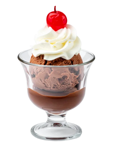 Chocolate Ice Cream Sundae