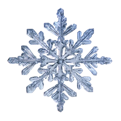 Detailed Crystal Snowflake