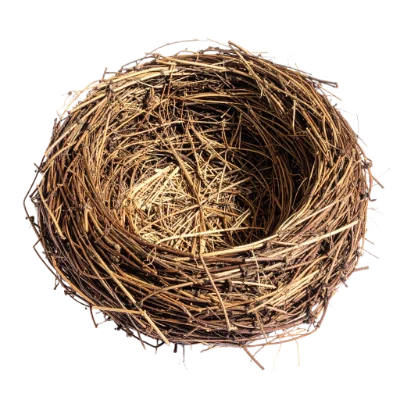 Empty Bird Nest