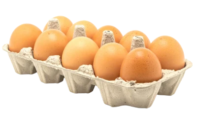 Fresh Brown Chicken Eggs