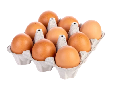 Fresh Brown Eggs Carton