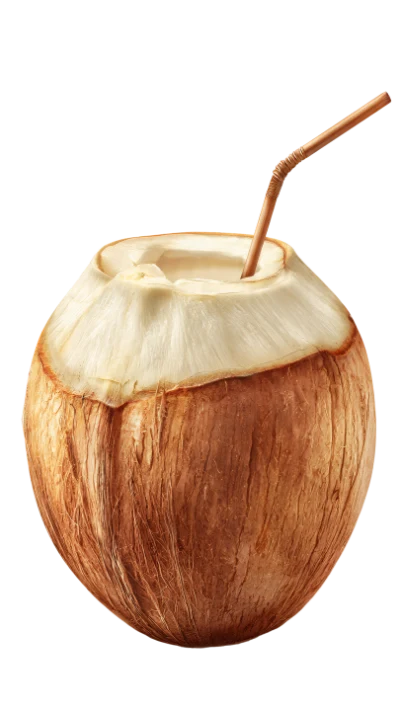 Fresh Coconut Drink