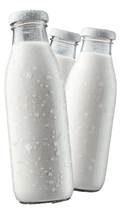 Fresh Cold Milk Bottles