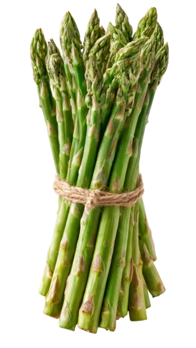 Fresh Green Asparagus Bunch