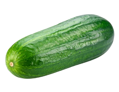 Fresh Green Cucumber