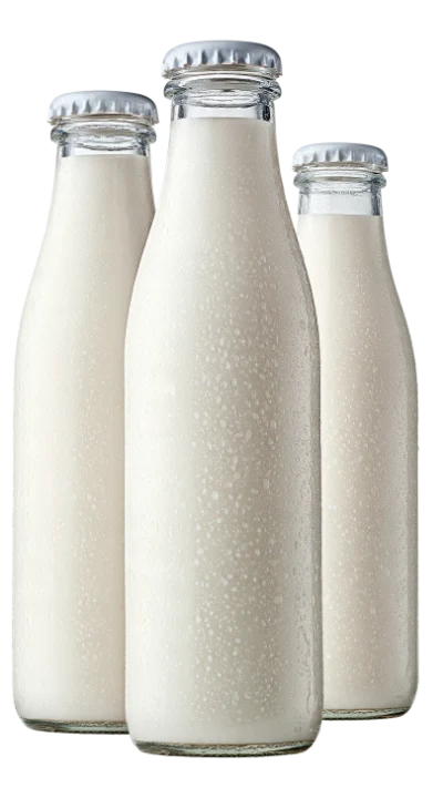 Fresh Milk Glass Bottles