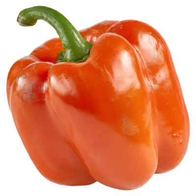 Fresh Orange Bell Pepper