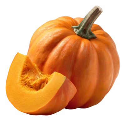 Fresh Orange Pumpkin Slice