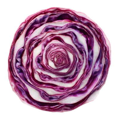 Fresh Red Cabbage Slice