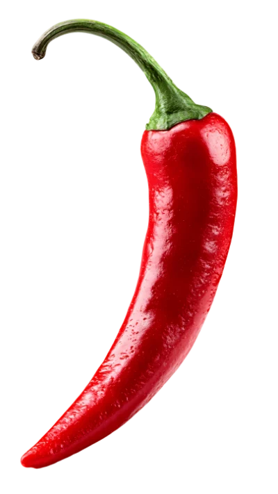 Fresh Red Chili Pepper
