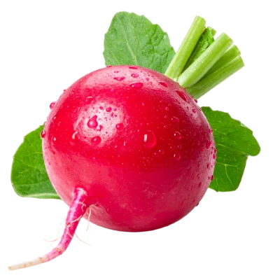 Fresh Red Radish