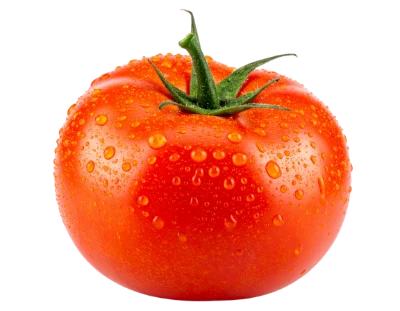 Fresh Red Tomato