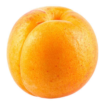 Fresh Ripe Apricot